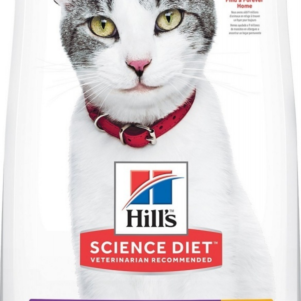 
                  
                    Hill's Science Diet Adult 11+ Chicken Recipe Dry Cat Food
                  
                