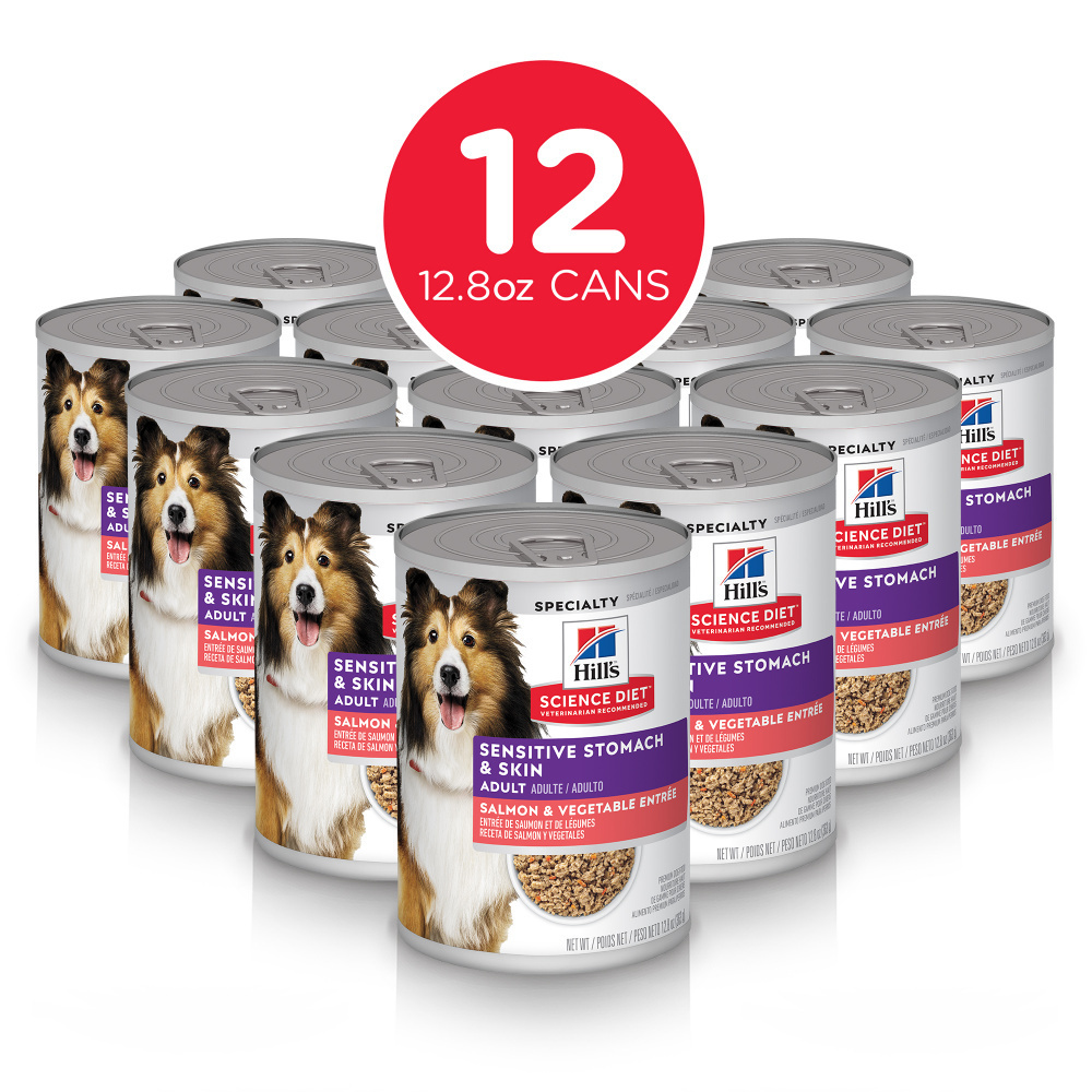 
                  
                    Hill's Science Diet Adult Sensitive Stomach & Skin Salmon & Vegetable Entree Canned Dog Food
                  
                