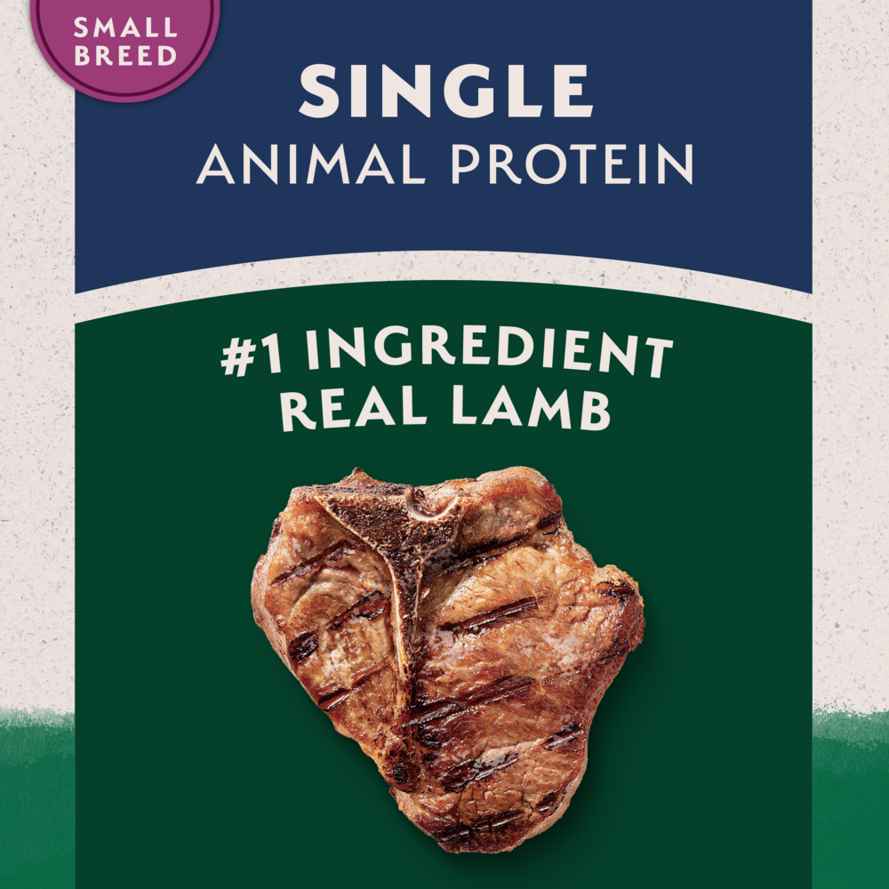 
                  
                    Natural Balance Limited Ingredient Lamb & Brown Rice Small Breed Recipe Dry Dog Food
                  
                