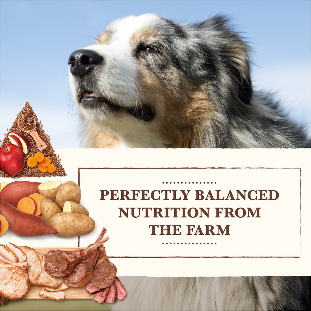 
                  
                    Whole Earth Farms Grain Free Recipe with Pork, Beef and Lamb Dry Dog Food
                  
                