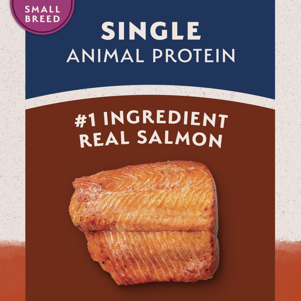 
                  
                    Natural Balance Limited Ingredient Grain Free Salmon & Sweet Potato Small Breed Recipe Dry Dog Food
                  
                