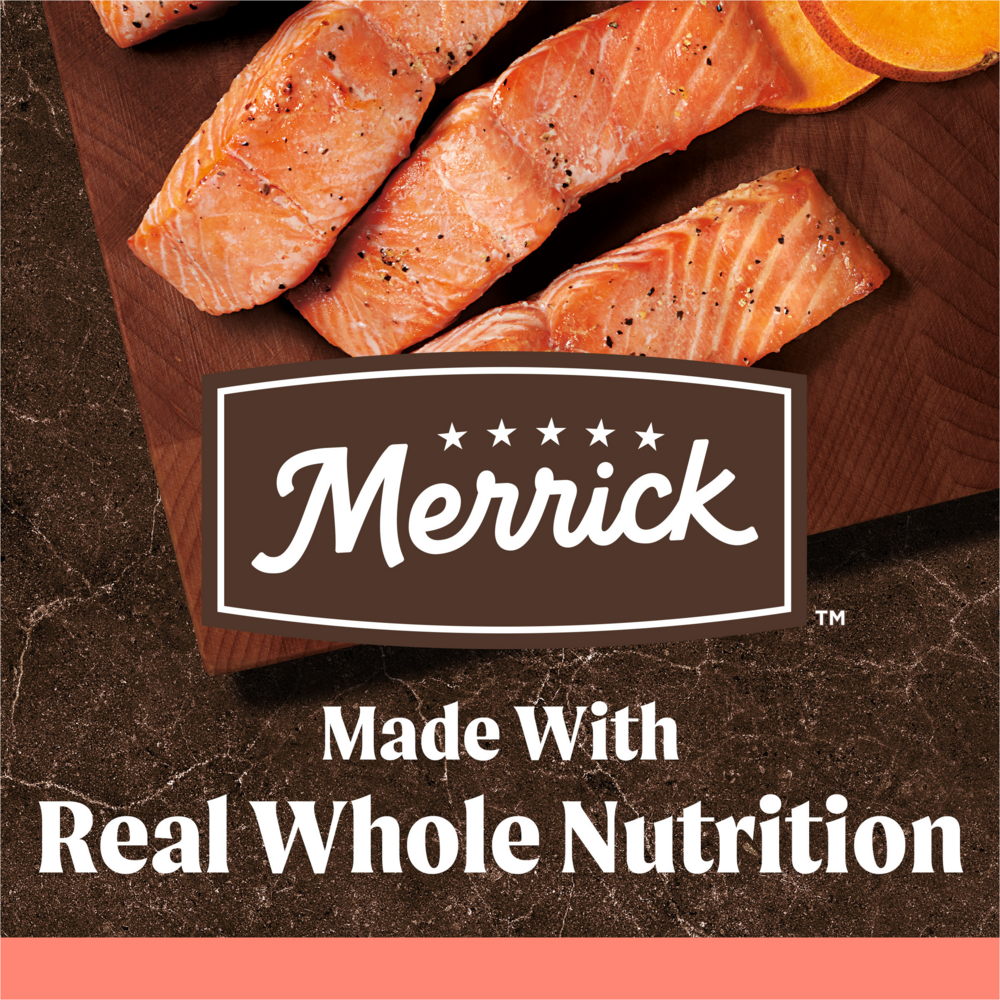 
                  
                    Merrick Premium Grain Free Dry Adult Dog Food Wholesome And Natural Kibble With Real Salmon And Sweet Potato
                  
                