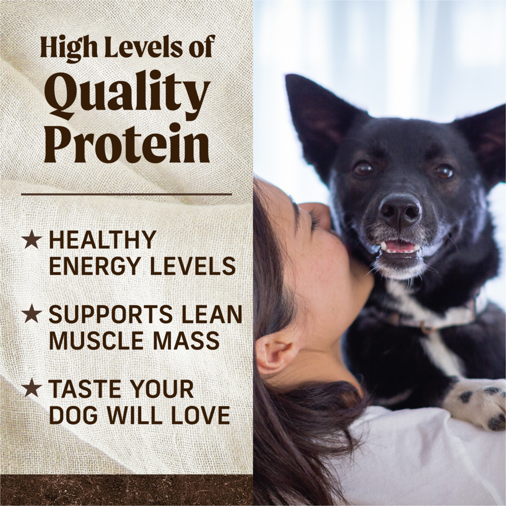 
                  
                    Merrick Premium Grain Free Dry Adult Dog Food Wholesome And Natural Kibble With Real Lamb And Sweet Potato
                  
                