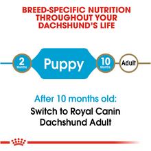 Load image into Gallery viewer, Royal Canin Breed Health Nutrition Dachshund Puppy Dry Dog Food