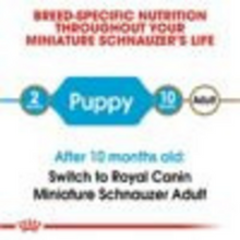 Load image into Gallery viewer, Royal Canin Breed Health Nutrition Miniature Schnauzer Puppy Dry Dog Food