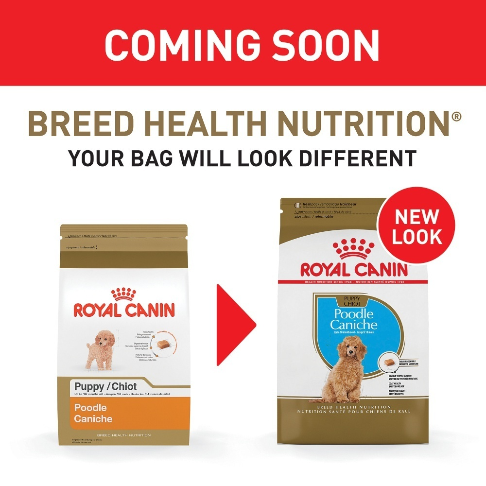 
                  
                    Royal Canin Breed Health Nutrition Poodle Puppy Dry Dog Food
                  
                