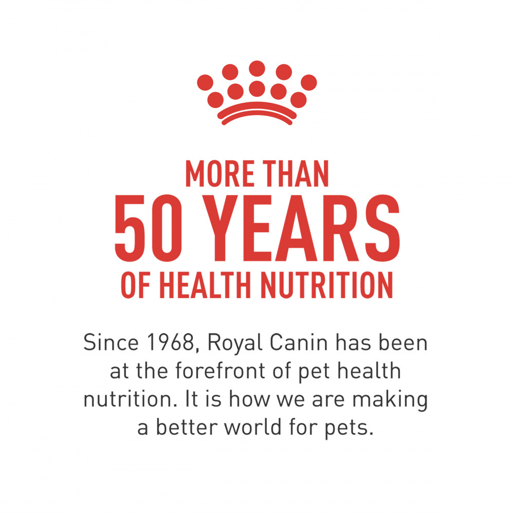 
                  
                    Royal Canin Breed Health Nutrition Pug Puppy Dry Dog Food
                  
                