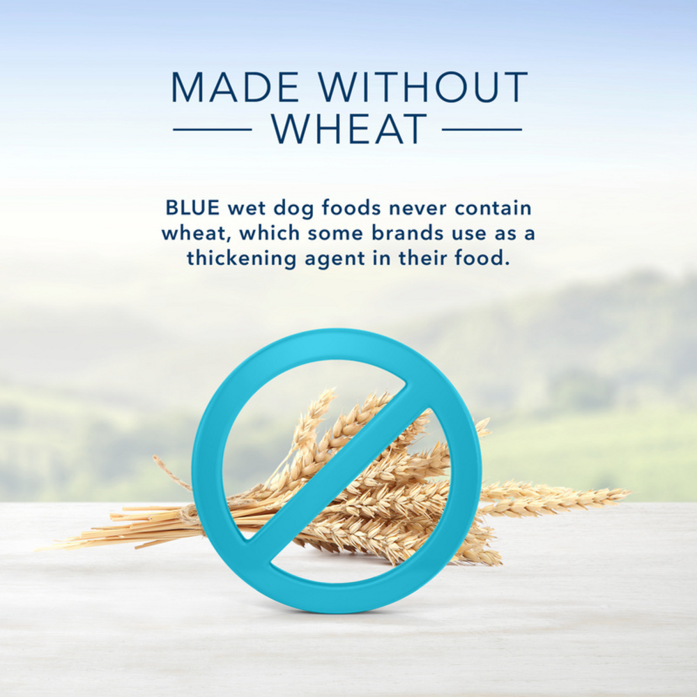 
                  
                    Blue Buffalo Homestyle Recipe Adult Healthy Weight Chicken Dinner with Garden Vegetables Canned Dog Food
                  
                