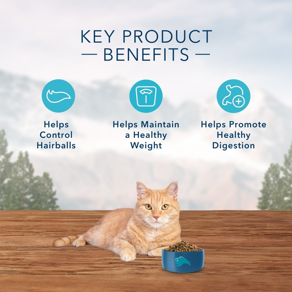 
                  
                    Blue Buffalo Wilderness High-Protein Grain-Free Indoor Adult Hairball & Weight Control Chicken Recipe Dry Cat Food
                  
                