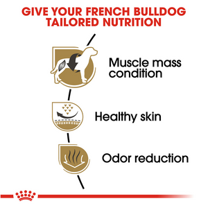 Royal Canin Breed Health Nutrition French Bulldog Adult Dry Dog Food