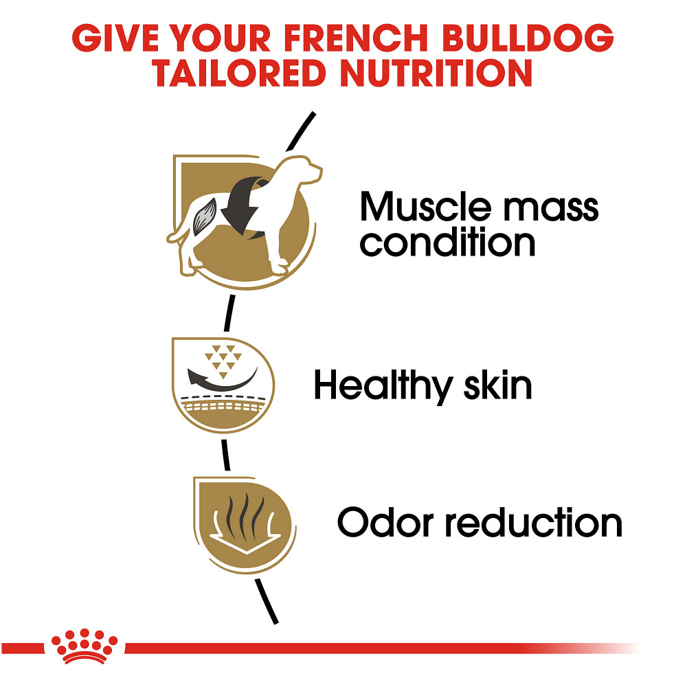 
                  
                    Royal Canin Breed Health Nutrition French Bulldog Adult Dry Dog Food
                  
                