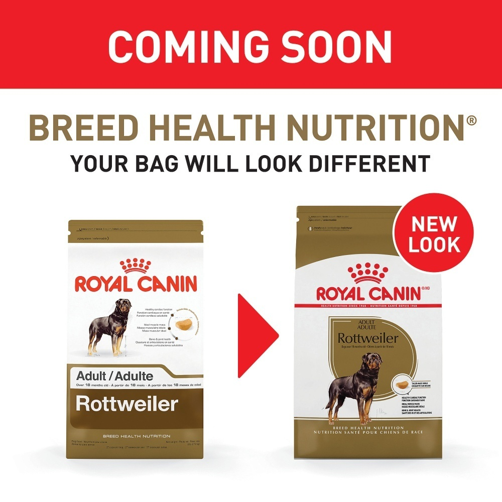 
                  
                    Royal Canin Breed Health Nutrition Rottweiler Adult Dry Dog Food
                  
                