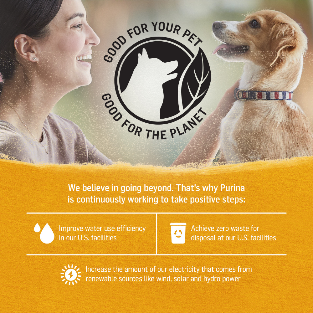 
                  
                    Beyond Grain Free Chicken, Carrot and Pea Wet Dog Food
                  
                