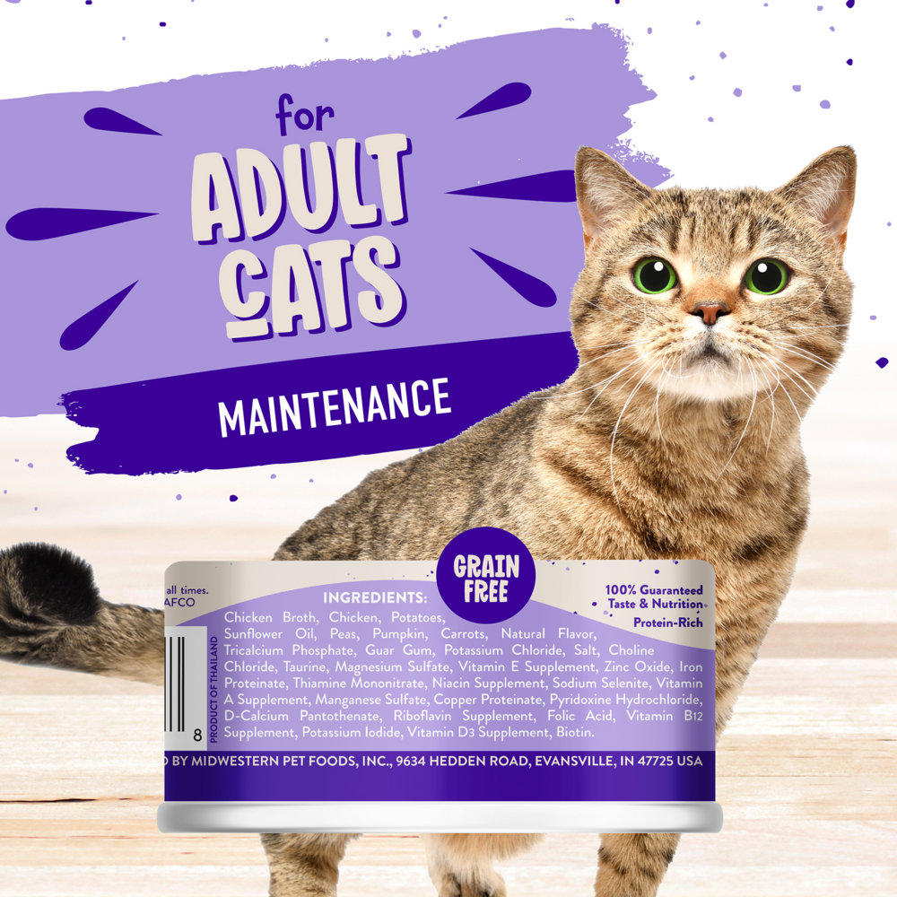 Earthborn Holistic Grain Free Chicken Fricatssee Canned Cat Food