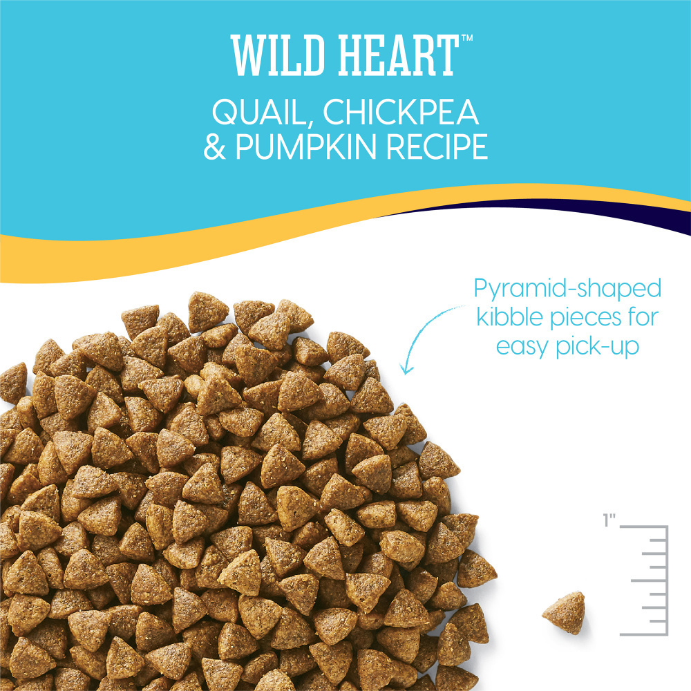 
                  
                    Solid Gold Wild Heart Adult Quail, Chickpeas and Pumpkin Recipe Dry Dog Food
                  
                