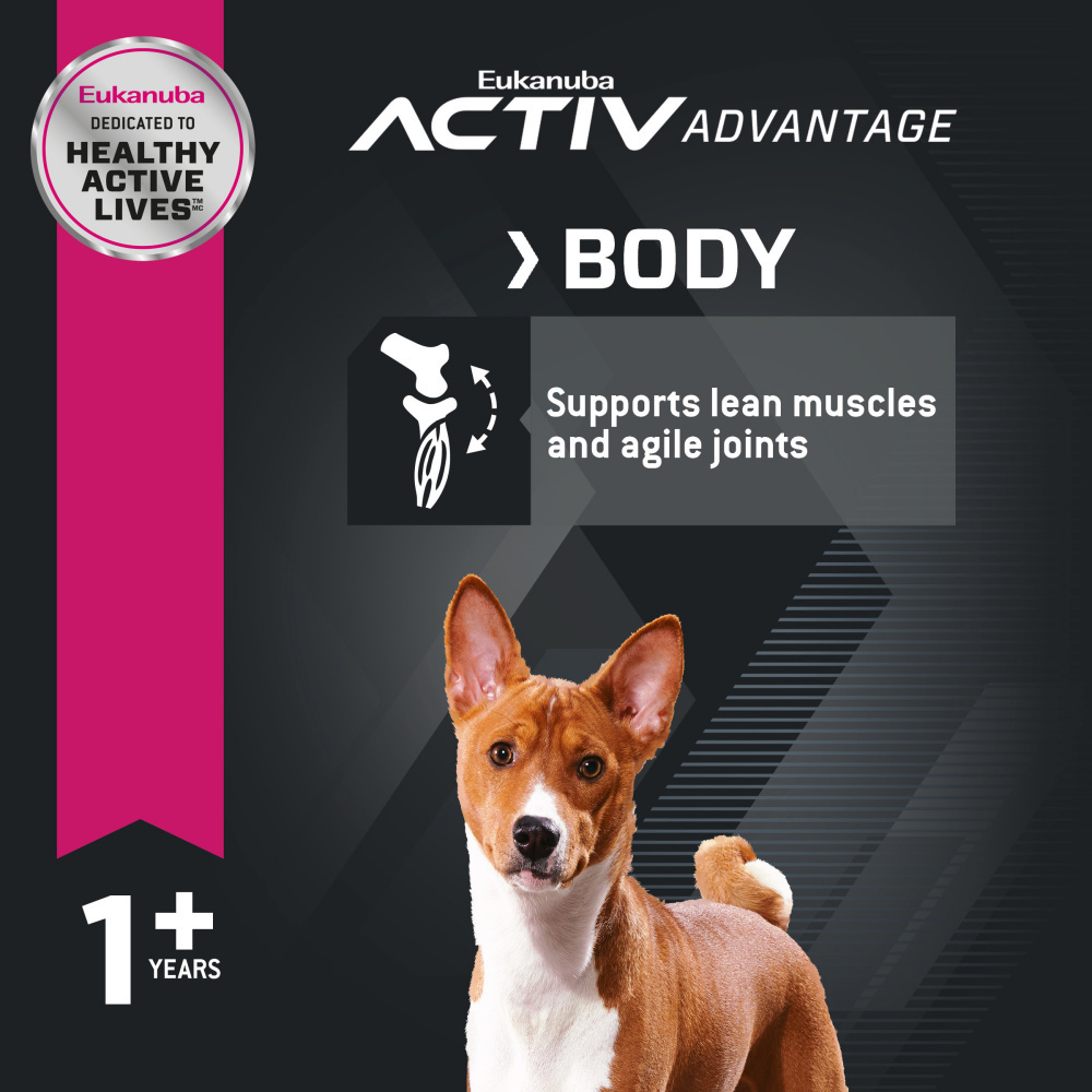 
                  
                    Eukanuba Adult Maintenance Small Bite Chicken Formula Dry Dog Food
                  
                