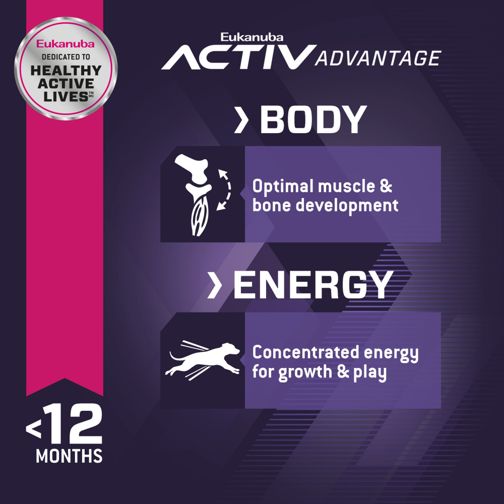 
                  
                    Eukanuba Large Breed Puppy Chicken Formula Dry Dog Food
                  
                