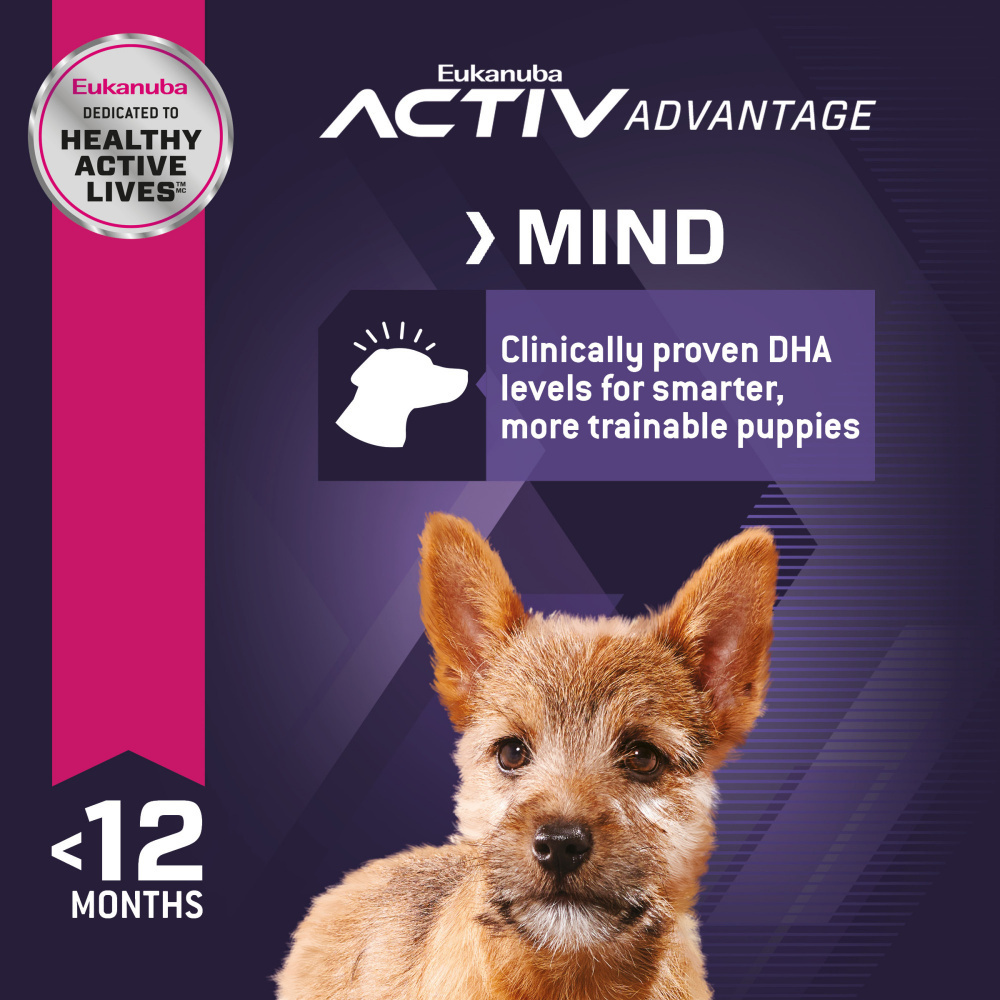
                  
                    Eukanuba Puppy Early Advantage Small Breed Puppy Chicken Formula Dry Dog Food
                  
                