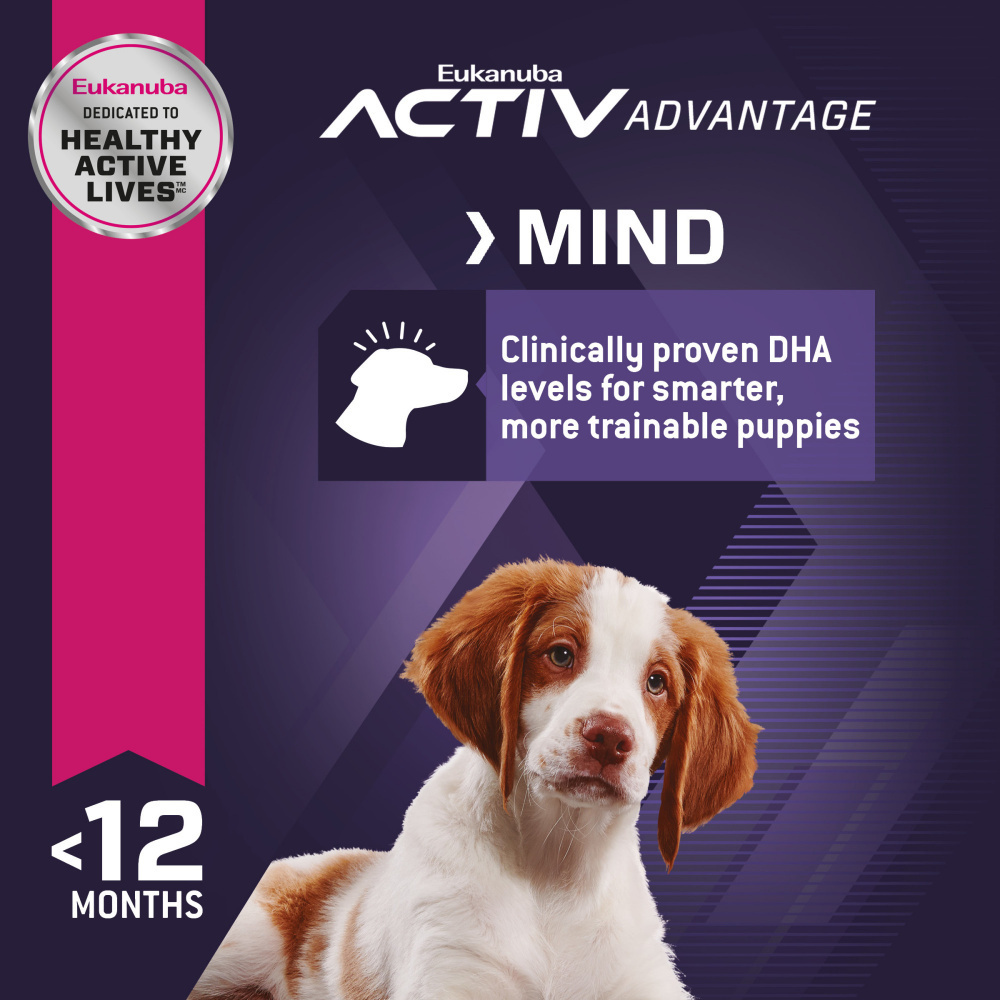 
                  
                    Eukanuba Puppy Early Advantage Chicken Formula Dry Dog Food
                  
                