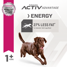 Load image into Gallery viewer, Eukanuba Fit Body Weight Control Large Breed Dry Dog Food