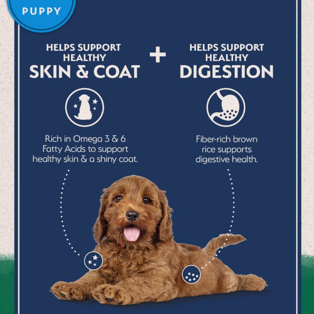 
                  
                    Natural Balance Limited Ingredient Lamb & Brown Rice Puppy Recipe Dry Dog Food
                  
                