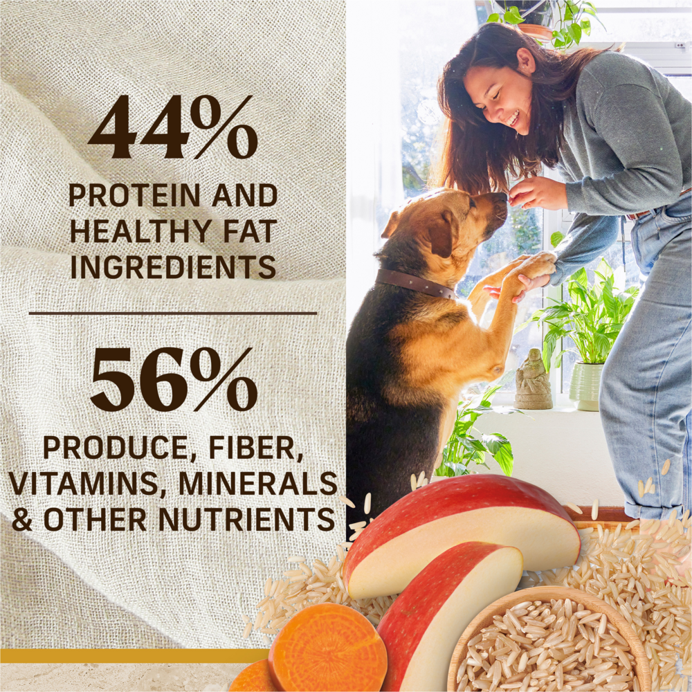 
                  
                    Merrick Healthy Grains Premium Adult Dry Dog Food Wholesome And Natural Kibble With Chicken And Brown Rice
                  
                