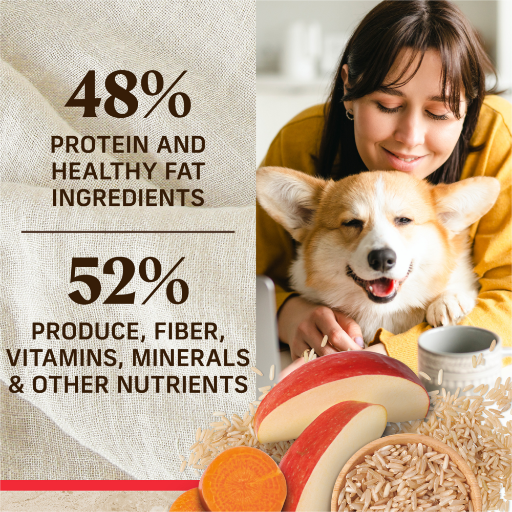 
                  
                    Merrick Healthy Grains Premium Adult Dry Dog Food, Wholesome And Natural Kibble With Beef And Brown Rice
                  
                