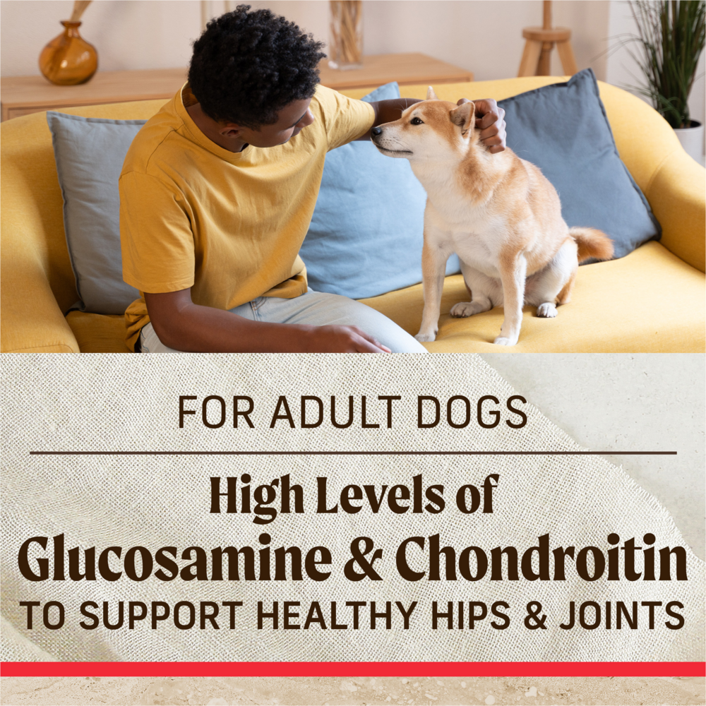 
                  
                    Merrick Healthy Grains Premium Adult Dry Dog Food, Wholesome And Natural Kibble With Beef And Brown Rice
                  
                