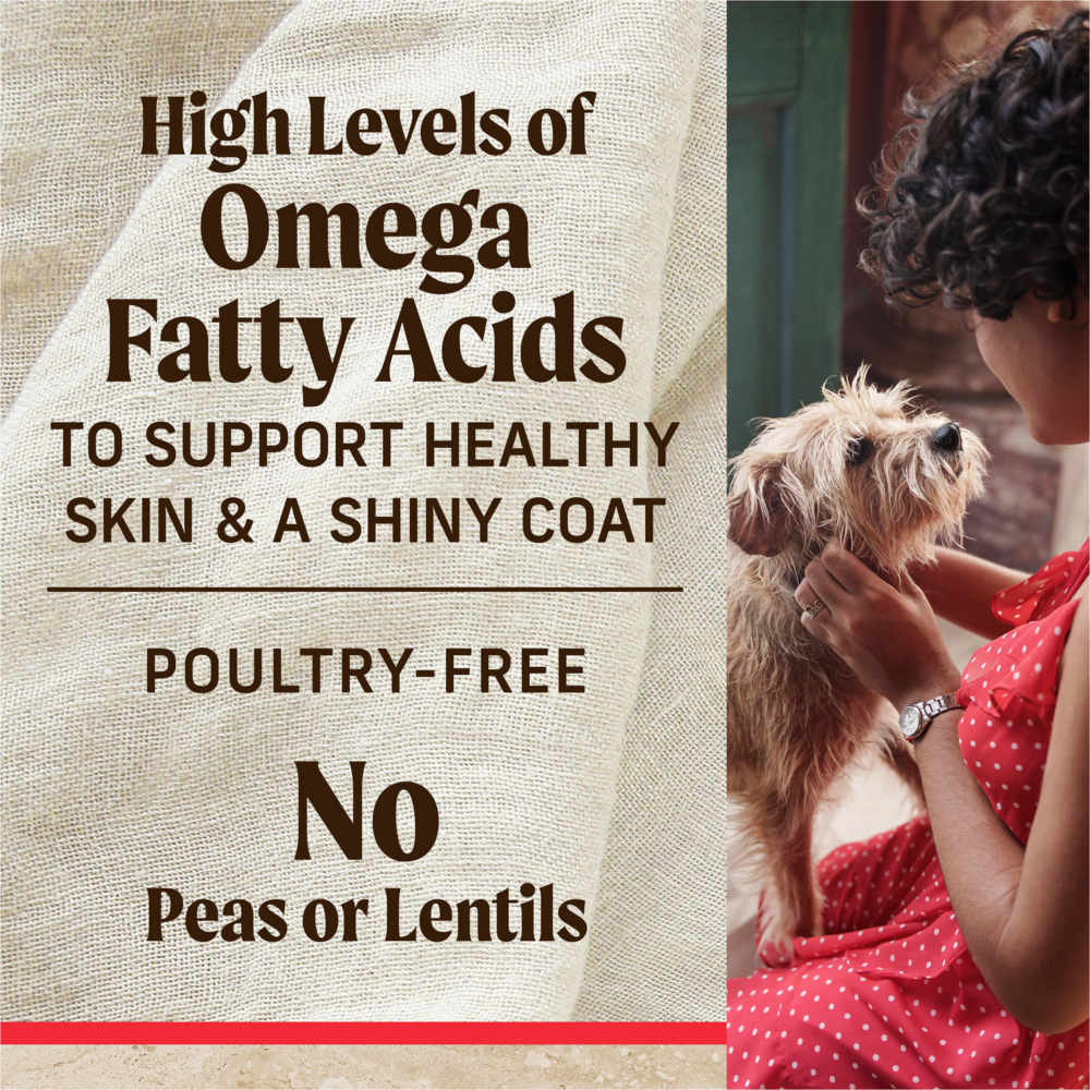 
                  
                    Merrick Healthy Grains Premium Adult Dry Dog Food, Wholesome And Natural Kibble With Beef And Brown Rice
                  
                