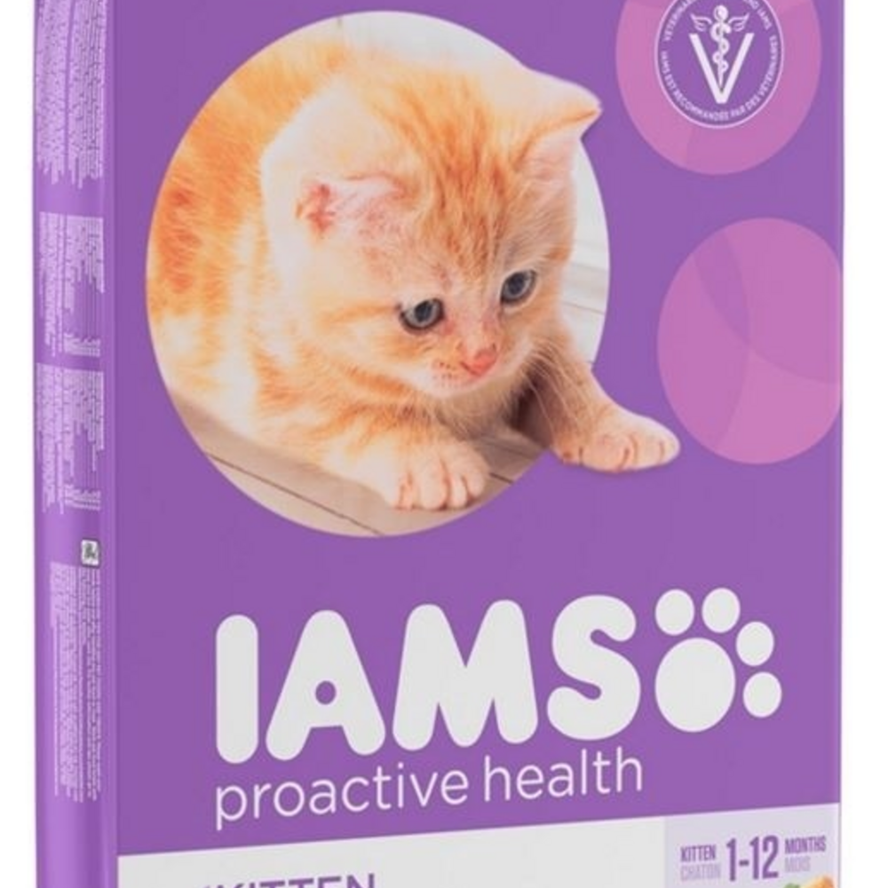 Iams ProActive Health Kitten Chicken Recipe Dry Cat Food