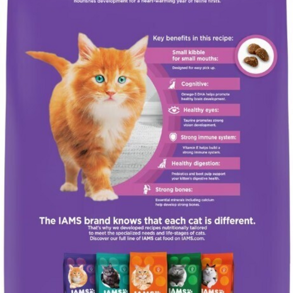 Iams ProActive Health Kitten Chicken Recipe Dry Cat Food