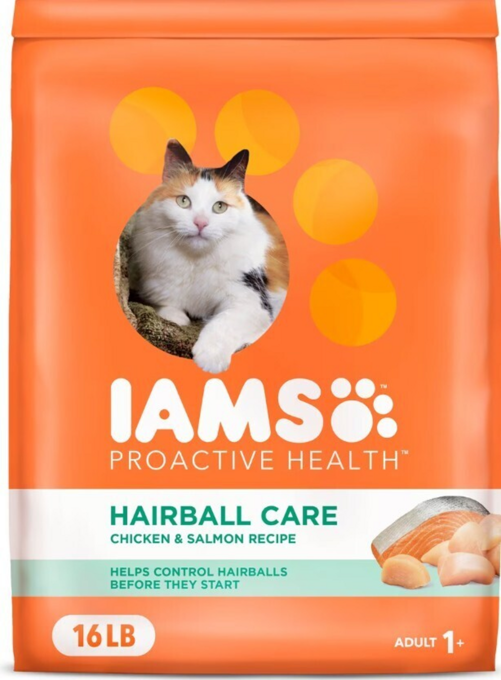 Iams ProActive Health Hairball Care Recipe Dry Cat Food