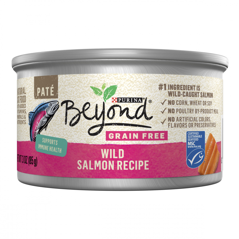 
                  
                    Purina Beyond Grain-Free Wild Salmon Pate Recipe Canned Cat Food
                  
                