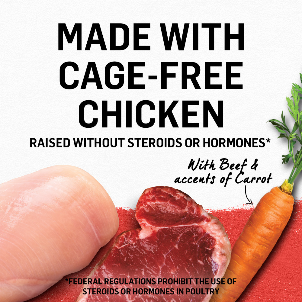 
                  
                    Purina Beyond Cage-Free Chicken, Beef & Carrot Recipe in Gravy Canned Cat Food
                  
                