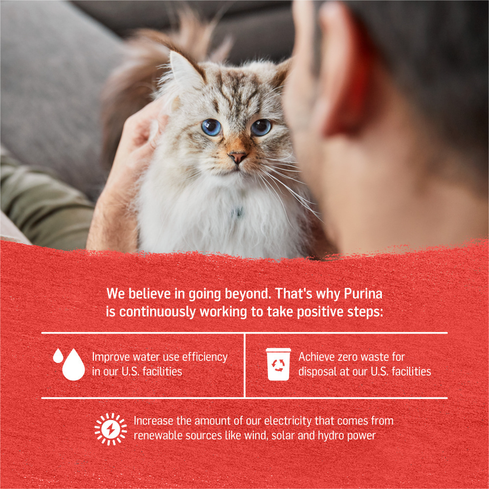 
                  
                    Purina Beyond Cage-Free Chicken, Beef & Carrot Recipe in Gravy Canned Cat Food
                  
                