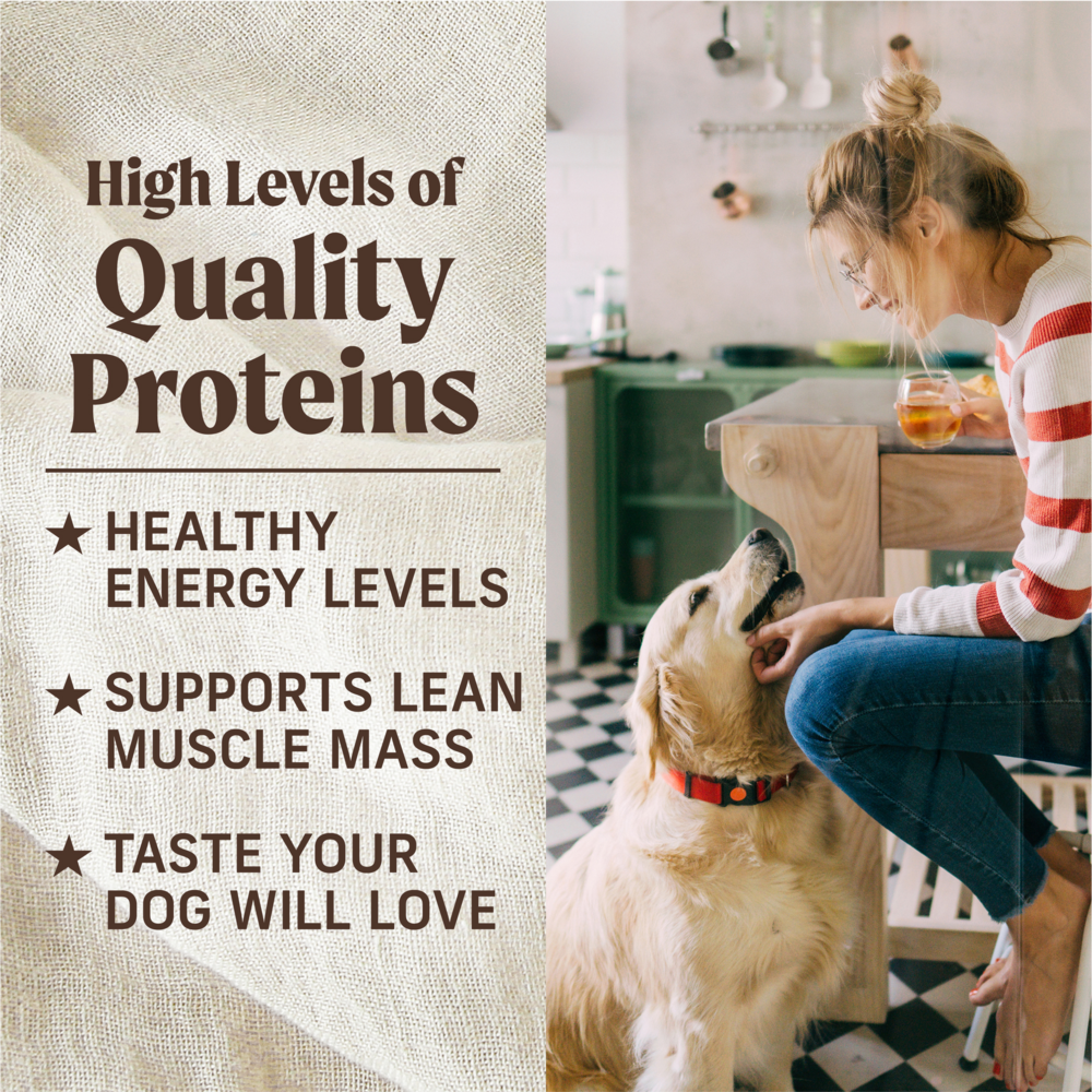 
                  
                    Merrick Lil' Plates Adult Small Breed Grain Free Tiny Thanksgiving Day Dinner Canned Dog Food
                  
                