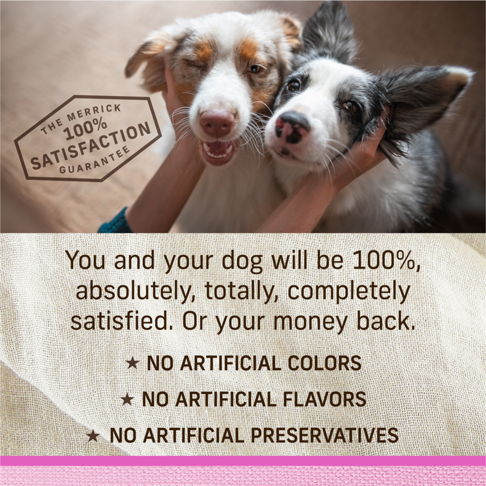 
                  
                    Merrick Lil' Plates Adult Small Breed Grain Free Tiny Thanksgiving Day Dinner Canned Dog Food
                  
                