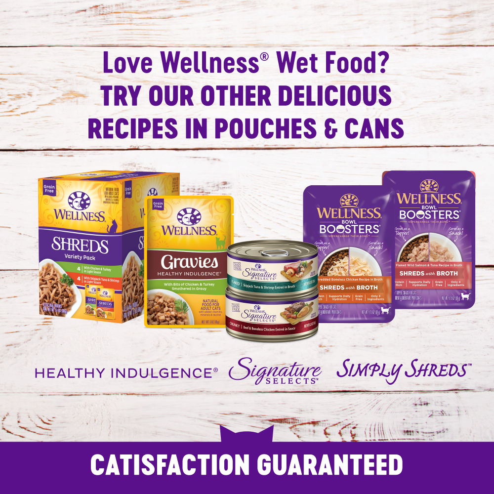 
                  
                    Wellness Healthy Indulgence Natural Grain Free Morsels with Salmon and Tuna in Savory Sauce Cat Food Pouch
                  
                