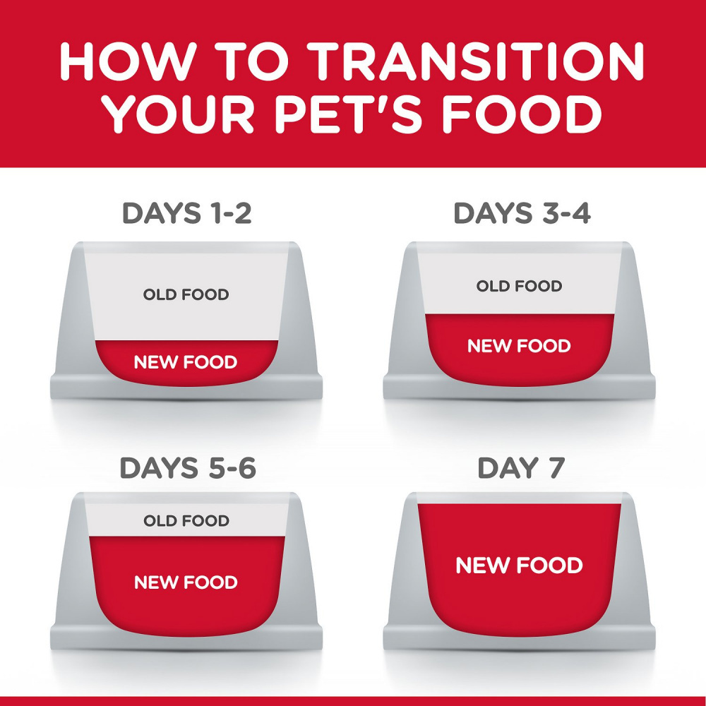 Hill's Science Diet Adult Sensitive Stomach & Skin Small & Mini Breed Chicken Recipe Dry Dog Food