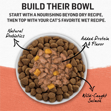 Load image into Gallery viewer, Purina Beyond Grain-Free Wild Alaskan Salmon &amp; Sweet Potato Recipe in Gravy Canned Cat Food