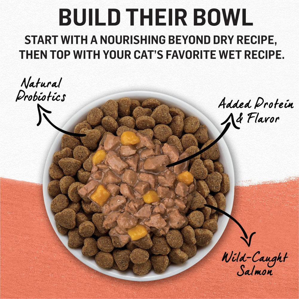 
                  
                    Purina Beyond Grain-Free Wild Alaskan Salmon & Sweet Potato Recipe in Gravy Canned Cat Food
                  
                