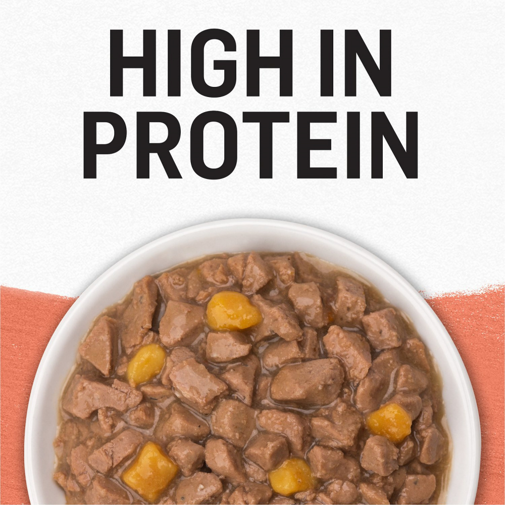 
                  
                    Purina Beyond Grain-Free Wild Alaskan Salmon & Sweet Potato Recipe in Gravy Canned Cat Food
                  
                