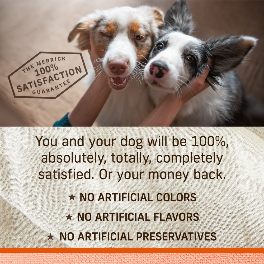 
                  
                    Merrick Lil' Plates Small Breed Grain Free Teeny Texas Steak Tips Dog Food Tray
                  
                