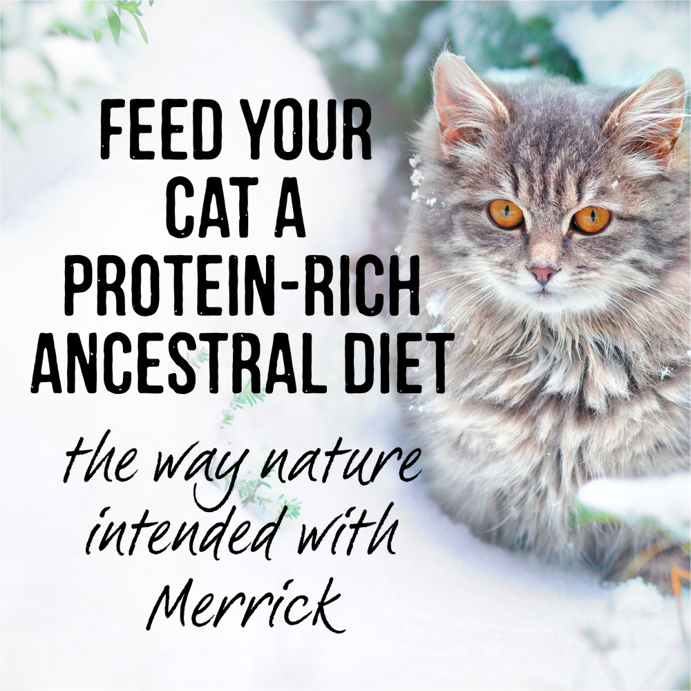 
                  
                    Merrick Backcountry Grain Free Gluten Free Premium High Protein Wet Cat Food, Chicken Recipe Cuts With Gravy
                  
                