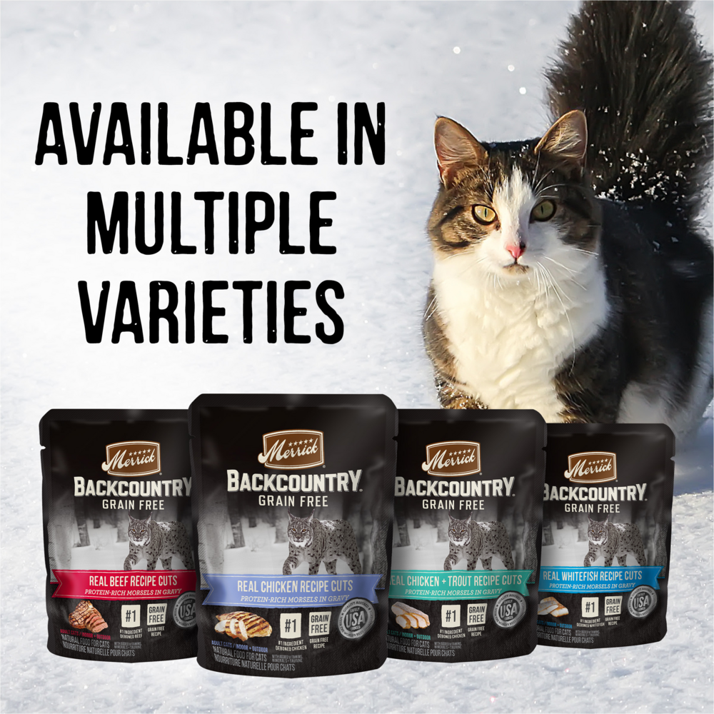 
                  
                    Merrick Backcountry Grain Free Gluten Free Premium High Protein Wet Cat Food, Chicken Recipe Cuts With Gravy
                  
                