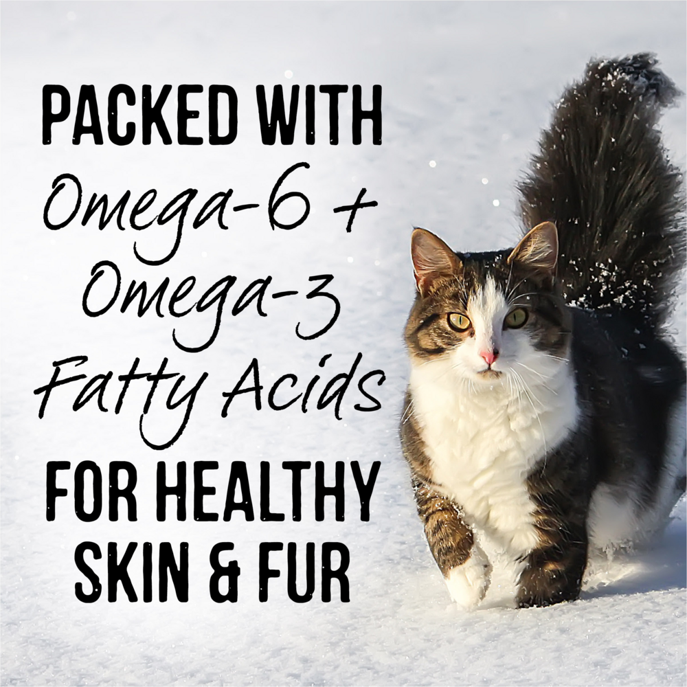 
                  
                    Merrick Backcountry Grain Free Gluten Free Premium High Protein Wet Cat Food, Turkey Recipe Cuts With Gravy
                  
                
