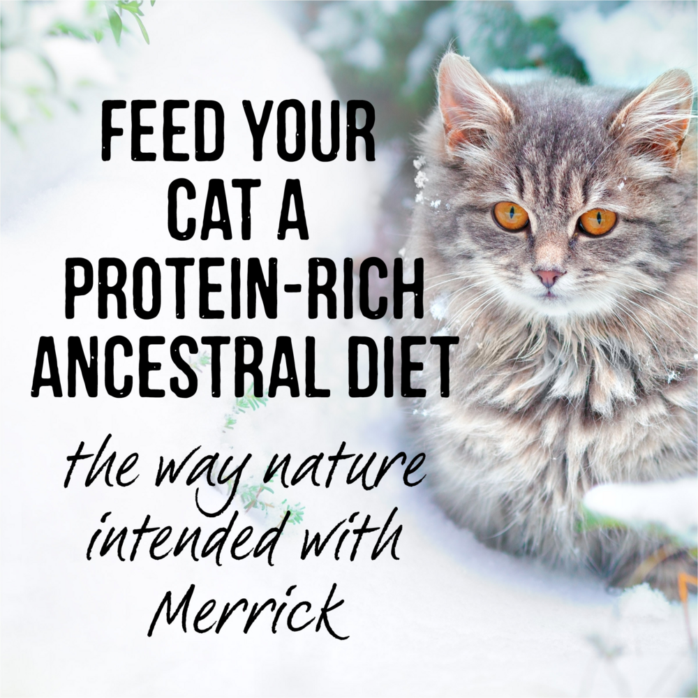 
                  
                    Merrick Backcountry Grain Free Gluten Free Premium High Protein Wet Cat Food, Turkey Recipe Cuts With Gravy
                  
                