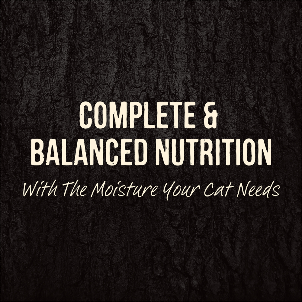 
                  
                    Merrick Backcountry Grain Free Gluten Free Premium High Protein Wet Cat Food, Duck Recipe Cuts With Gravy
                  
                