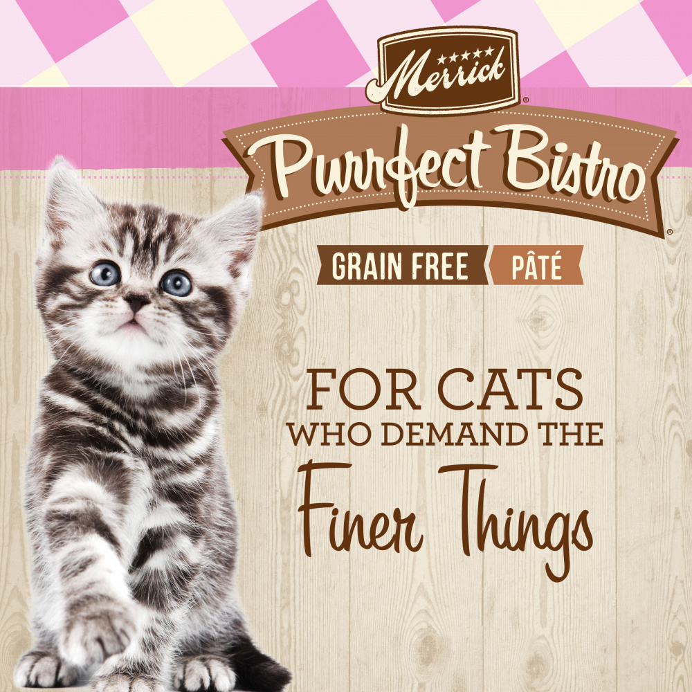 
                  
                    Merrick Purrfect Bistro Grain Free Premium Soft Canned Pate Chicken Wet Cat Food, Kitten Dinner Recipe
                  
                