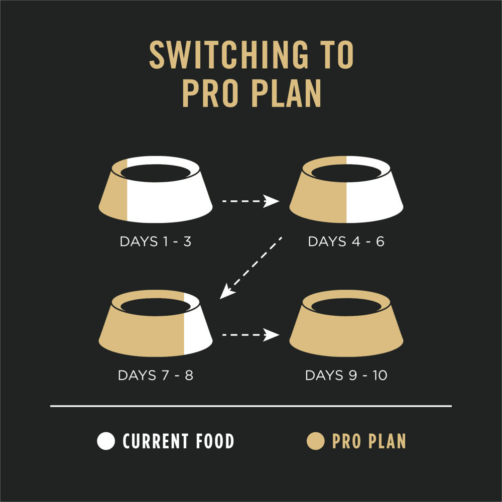 
                  
                    Purina Pro Plan Sensitive Skin & Stomach Formula Lamb & Oat Meal Formula Dry Dog Food
                  
                